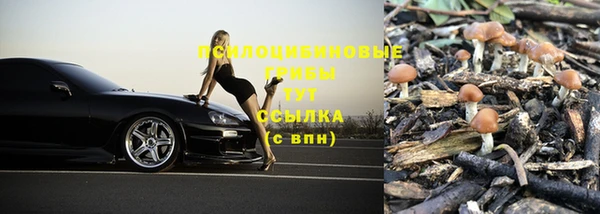 ГАЛЛЮЦИНОГЕННЫЕ ГРИБЫ Белоозёрский