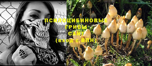 ГАЛЛЮЦИНОГЕННЫЕ ГРИБЫ Белоозёрский