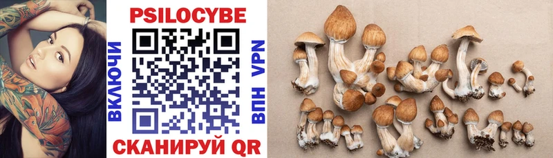 где продают   Клинцы  Псилоцибиновые грибы Magic Shrooms 